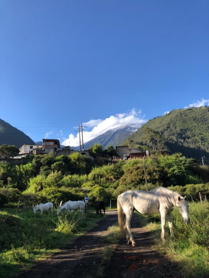 Premium Holiday Cabin - Spectacular Tungurahua Volcano View Baños Exterior foto